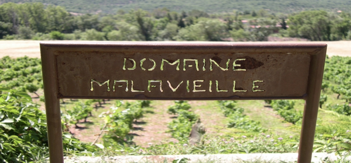 Bord bij wijngaarden Domaine de Malavieille