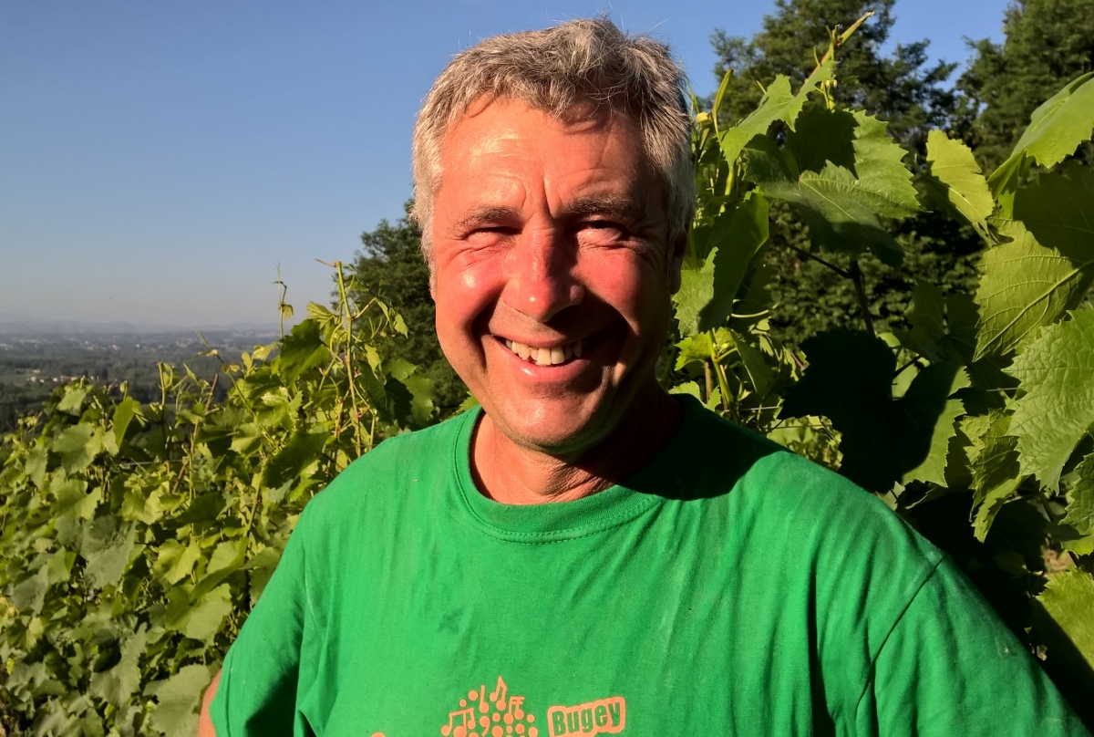 Yves Duport in de wijngaard