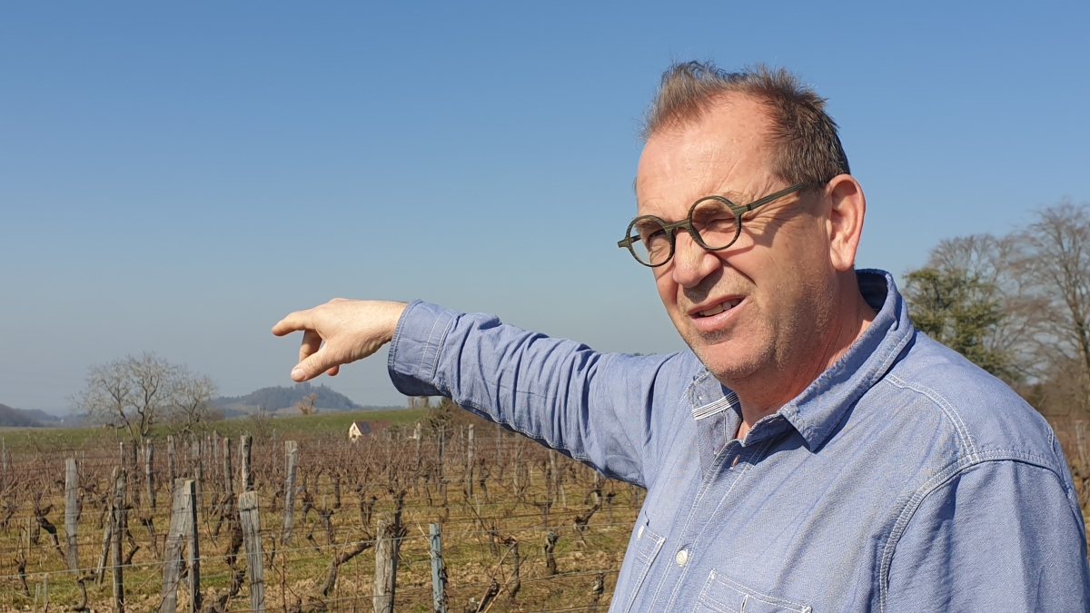 Benoit Mulin Clos de Grives in de wijngaard