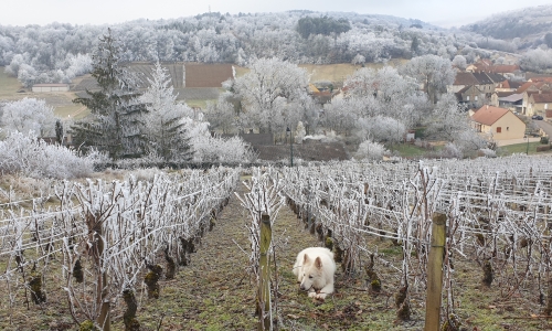 En route in de Bourgogne