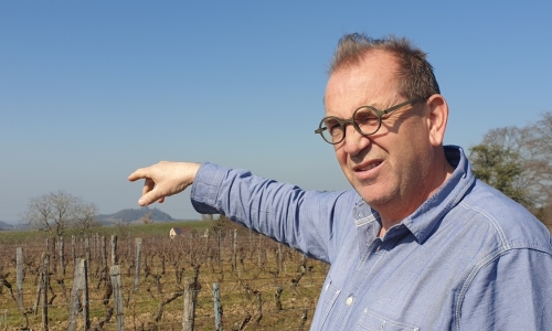 Benoit Mulin Clos de Grives in de wijngaard