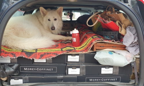 Retour uit Bourgogne...