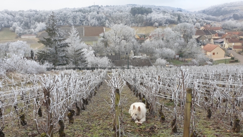 En route in de Bourgogne