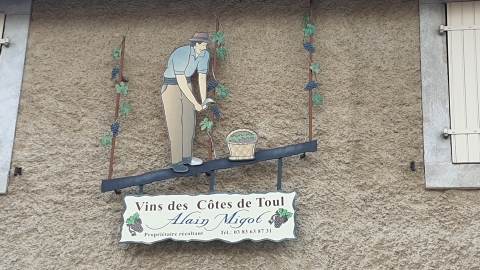 Domaine Camille Migot