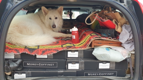 Retour uit Bourgogne !