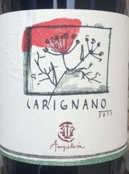 Ampeleia Carignano